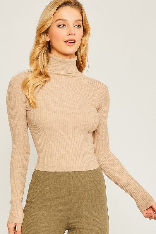 Turtleneck Sweater Top