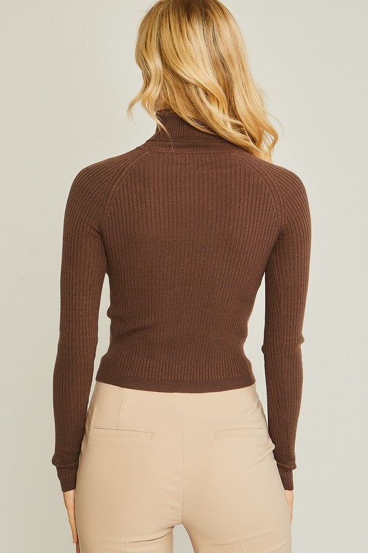 Turtleneck Sweater Top