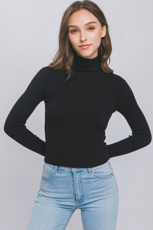 Turtleneck Sweater Top